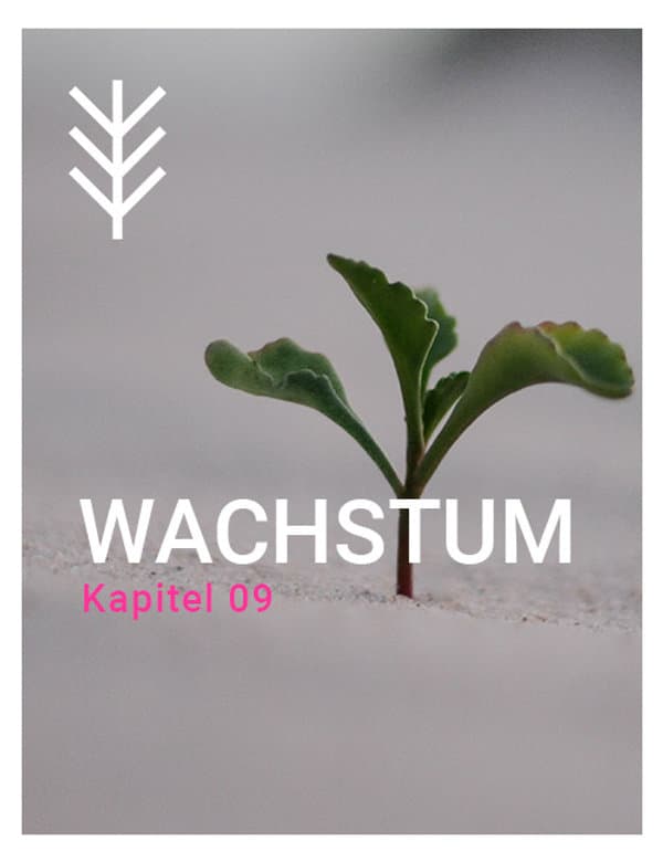 Kapitel 9: Wachstum